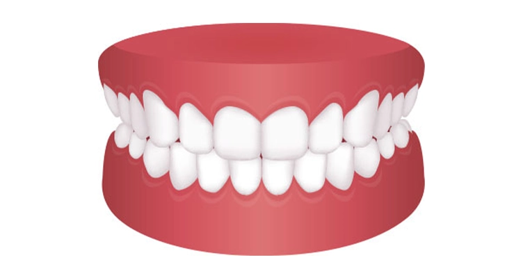 ortodoncista zaragoza